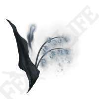 Ghost Glovewort [2]